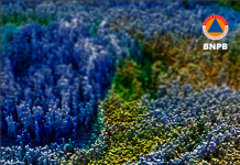 Rencana Nasional Penanggulangan Bencana 2020-2024