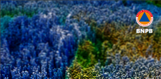 Rencana Nasional Penanggulangan Bencana 2020-2024